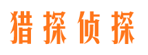 湛河市侦探调查公司